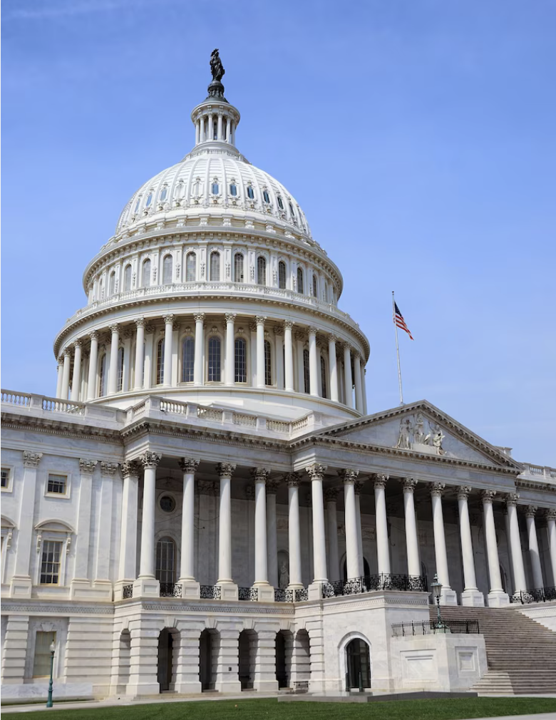 Leadership in Our Government